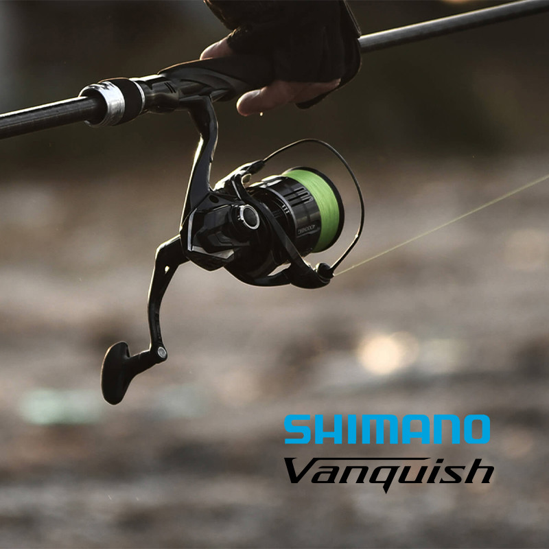 Shimano 23 Vanquish Origin Fis - đánh giá và giá Daiwa Reel Bg